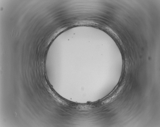 X0000061751041200512302232