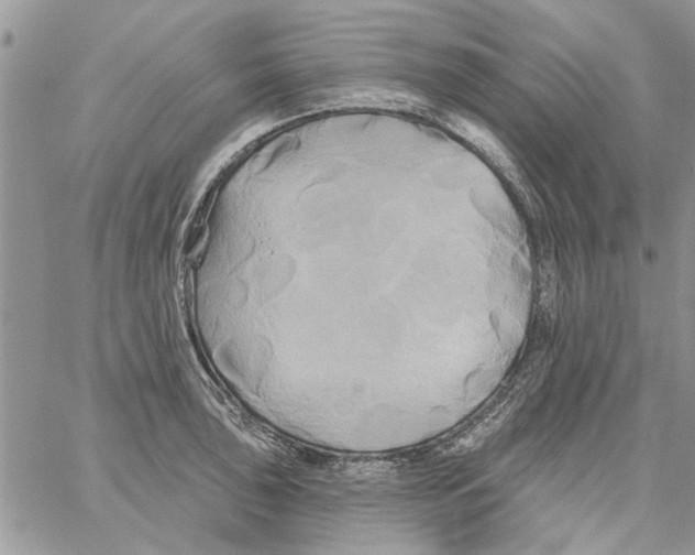 X0000061751043200512302232