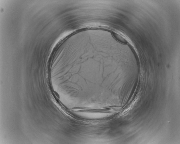 X0000061751045200512302232