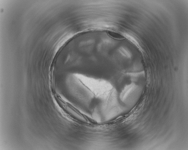 X0000061751047200512302232