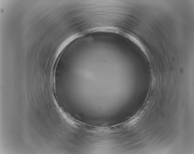 X0000061751050200512302232