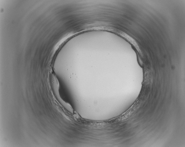 X0000061751051200512302232