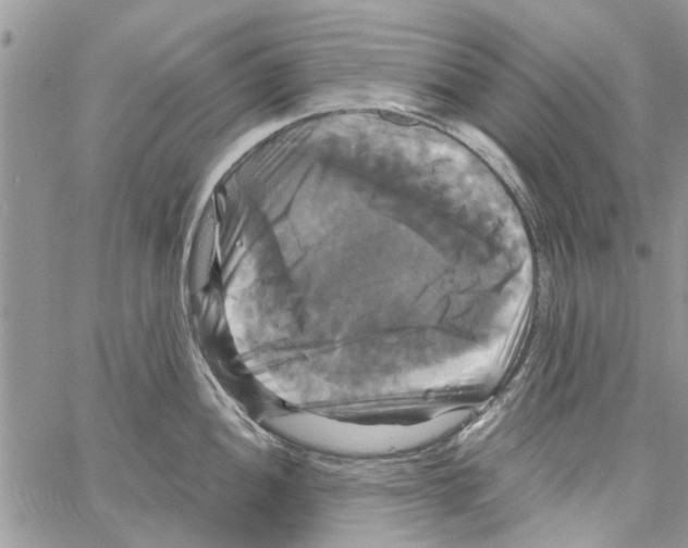 X0000061751052200512302232