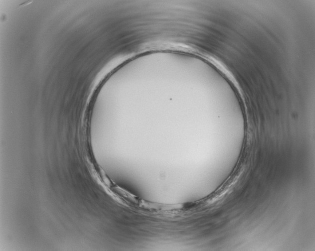 X0000061751053200512302232