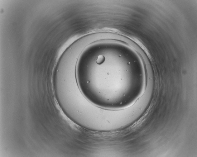 X0000061751054200512302232