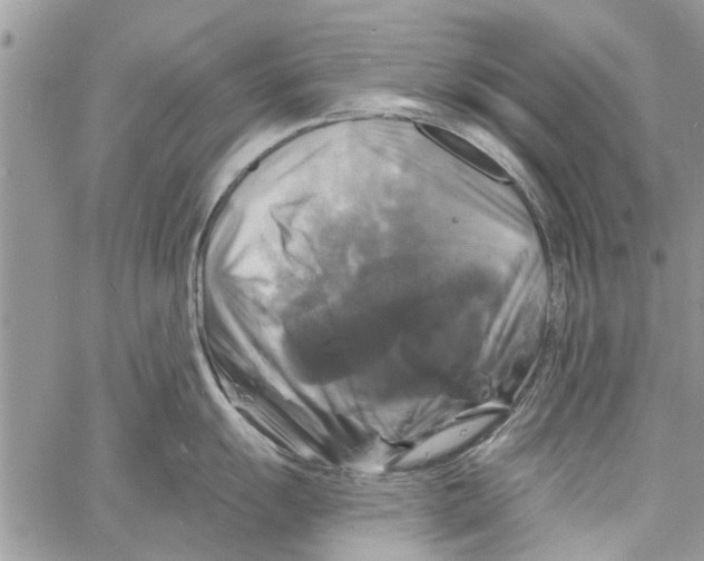 X0000061751055200512302232