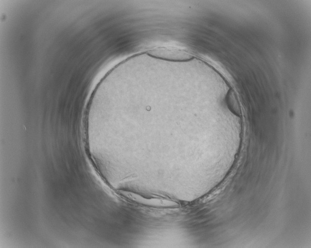 X0000061751056200512302233