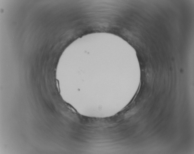 X0000061751057200512302232