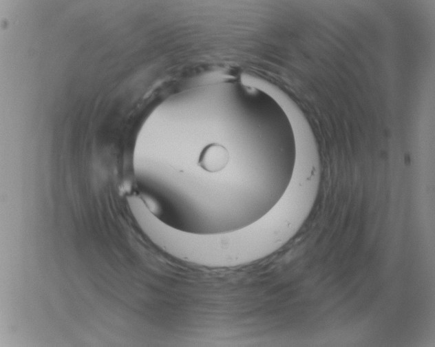 X0000061751058200512302232