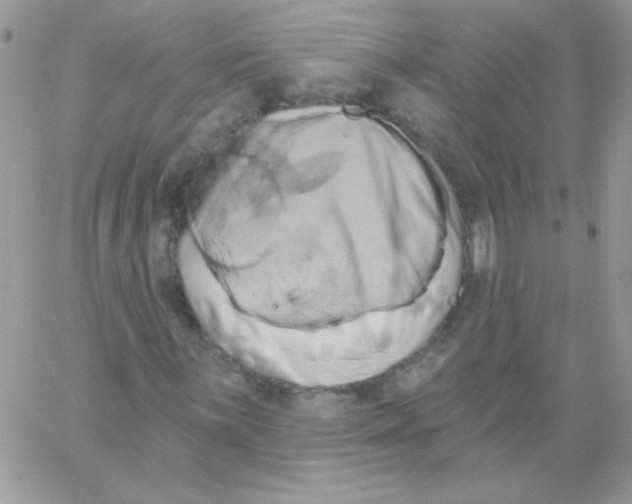 X0000061751059200512302232