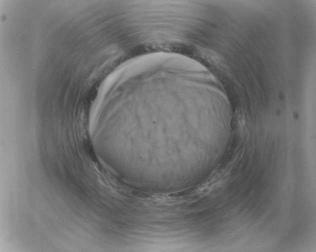 X0000061751060200512302232