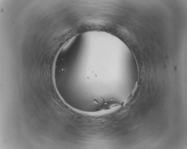 X0000061751061200512302232