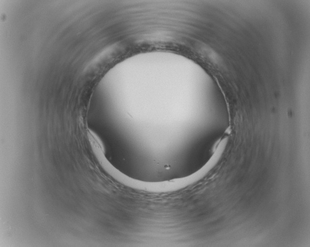 X0000061751062200512302232