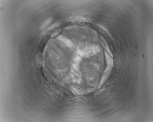 X0000061751063200512302232