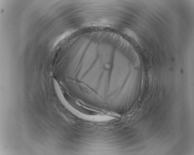 X0000061751064200512302232