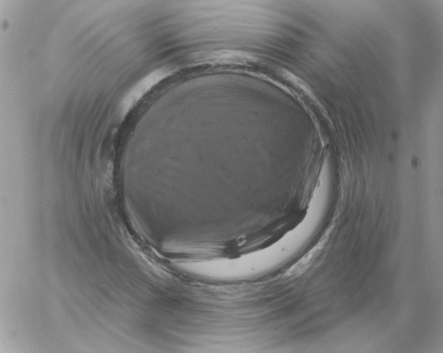 X0000061751066200512302232