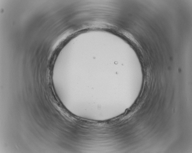 X0000061751067200512302232