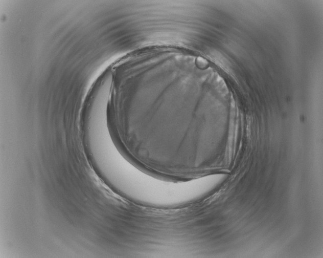 X0000061751068200512302232