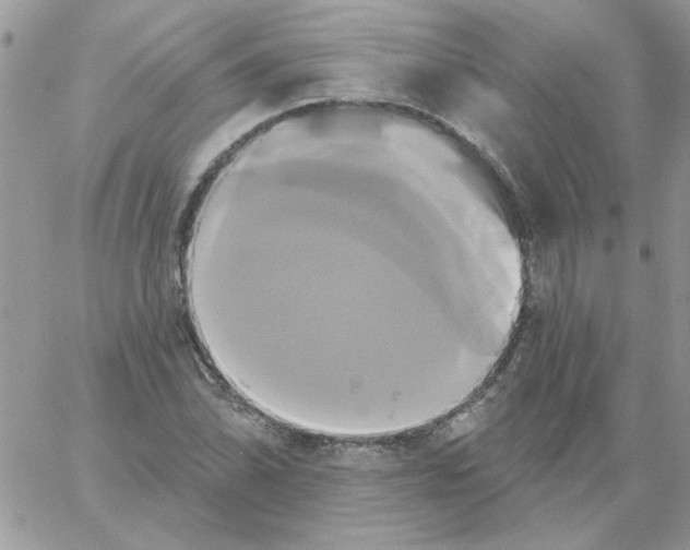 X0000061751070200512302231