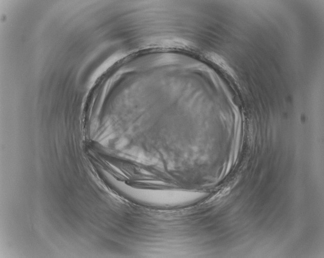 X0000061751071200512302231