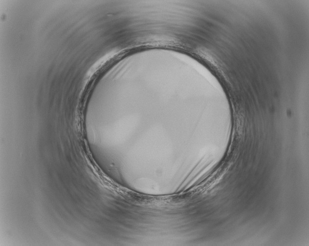 X0000061751074200512302231