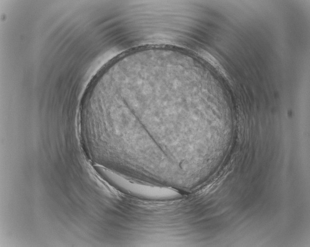 X0000061751076200512302231