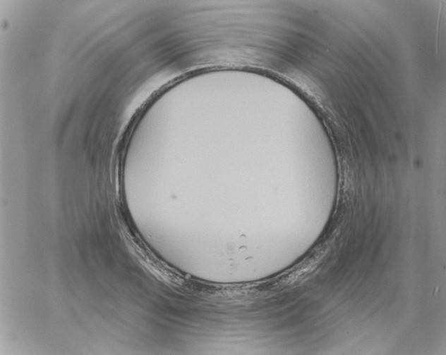 X0000061751078200512302231