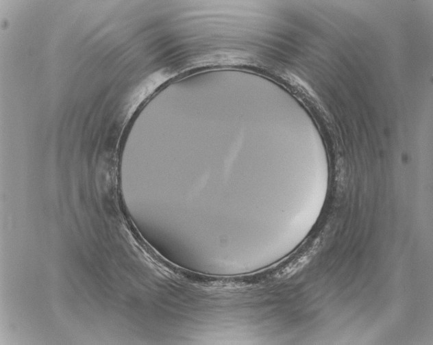 X0000061751081200512302231