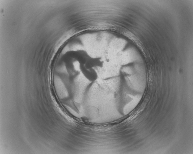 X0000061751083200512302231