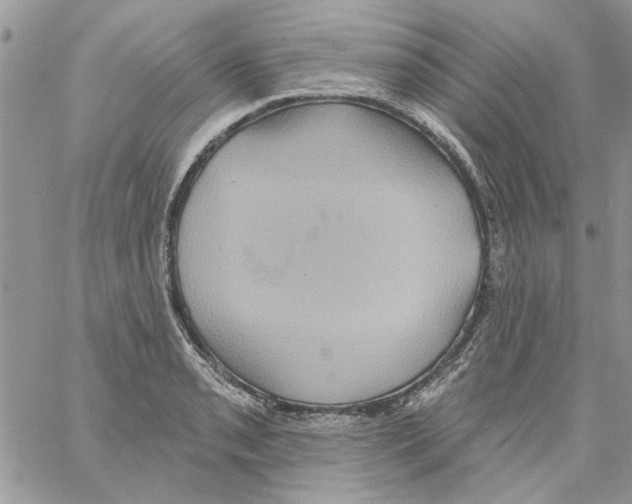 X0000061751085200512302231