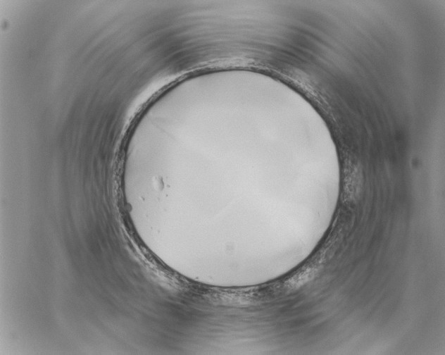 X0000061751086200512302231