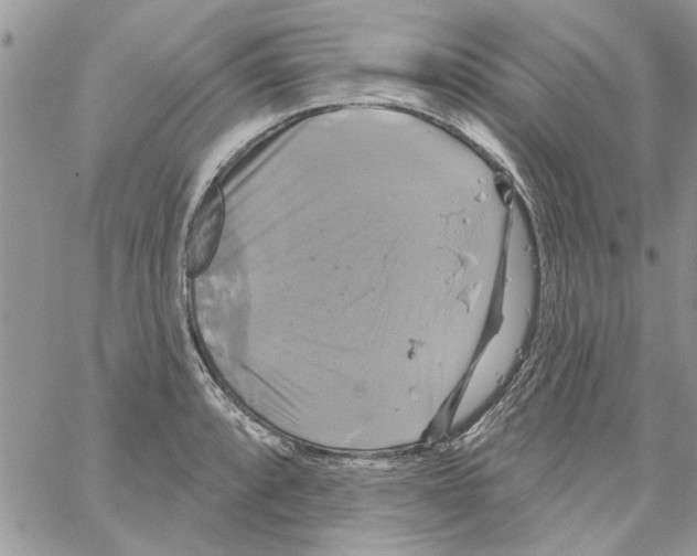 X0000061751088200512302231