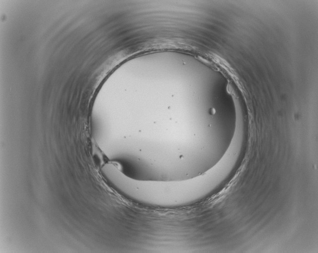 X0000061751089200512302231