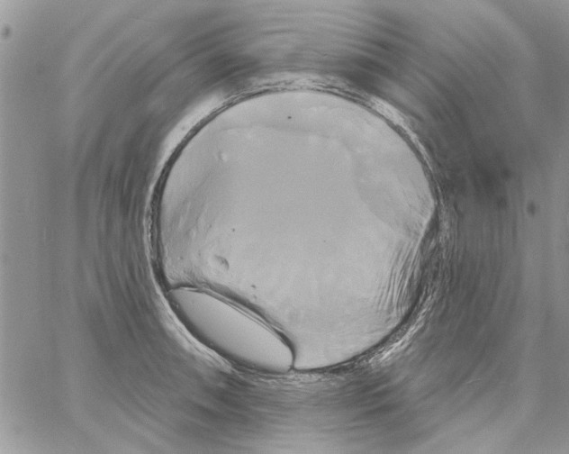 X0000061751090200512302231