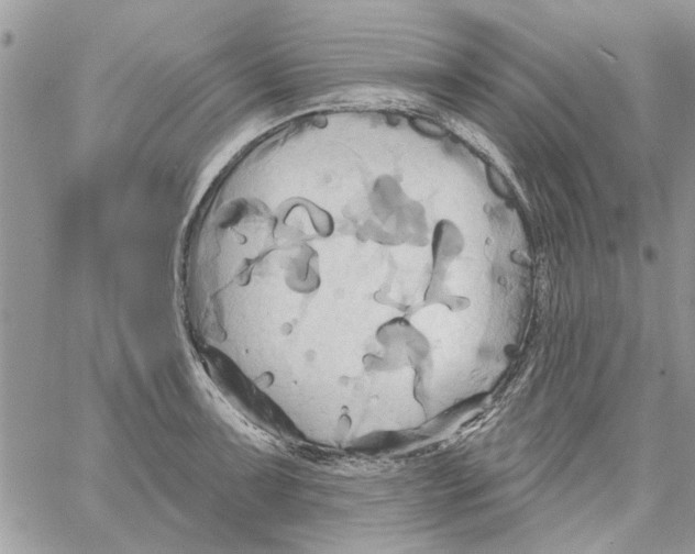 X0000061751091200512302231