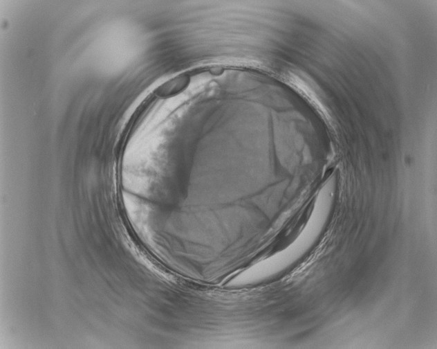 X0000061751092200512302231