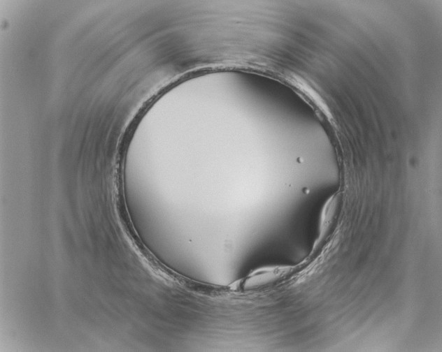 X0000061751093200512302231