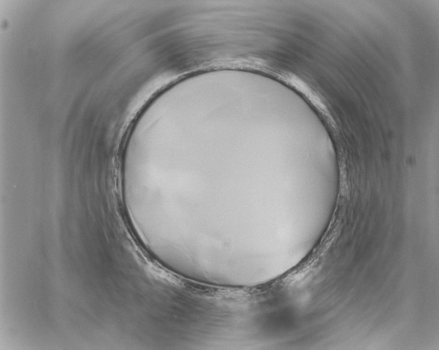 X0000061751094200512302231