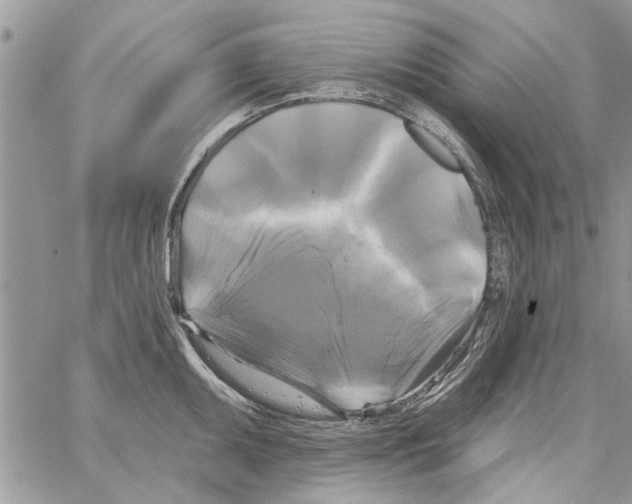 X0000061751095200512302231