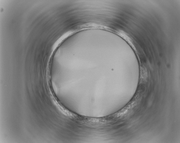 X0000061751098200512302231