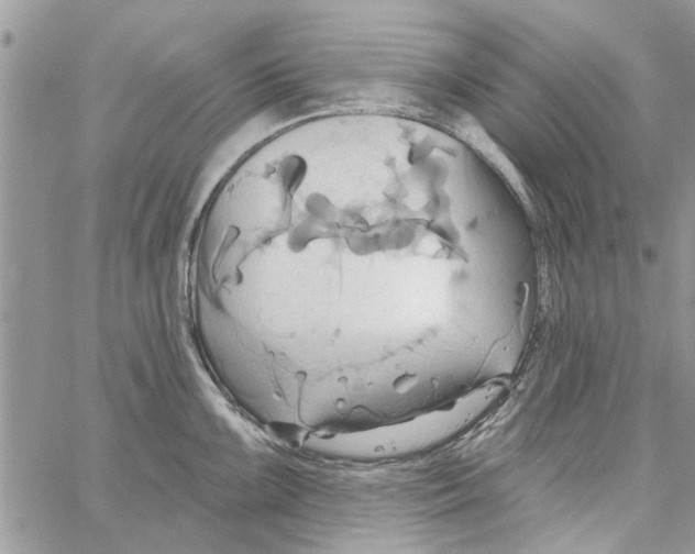 X0000061751099200512302231