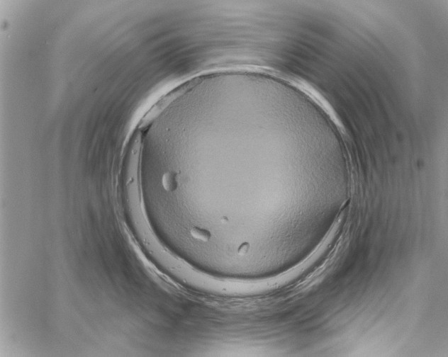 X0000061751101200512302231