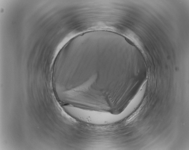 X0000061751102200512302231