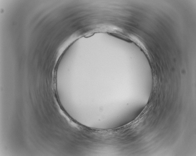 X0000061751103200512302231