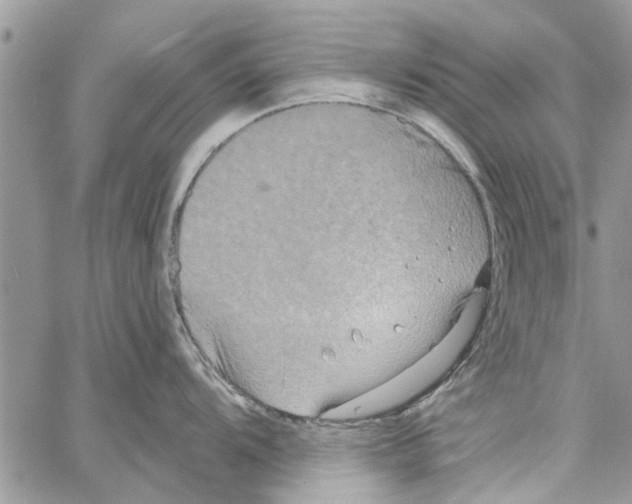 X0000061751104200512302231