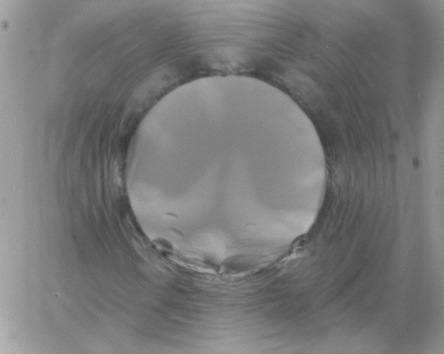 X0000061751106200512302230