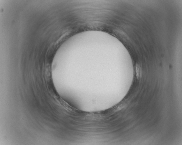 X0000061751107200512302230