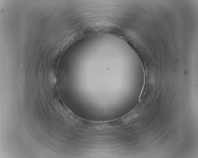 X0000061751108200512302230