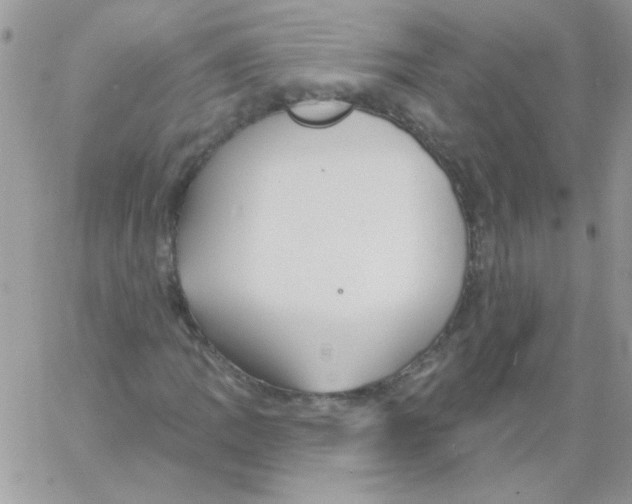 X0000061751109200512302230