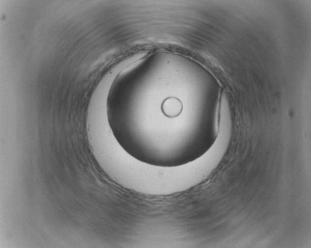 X0000061751110200512302230